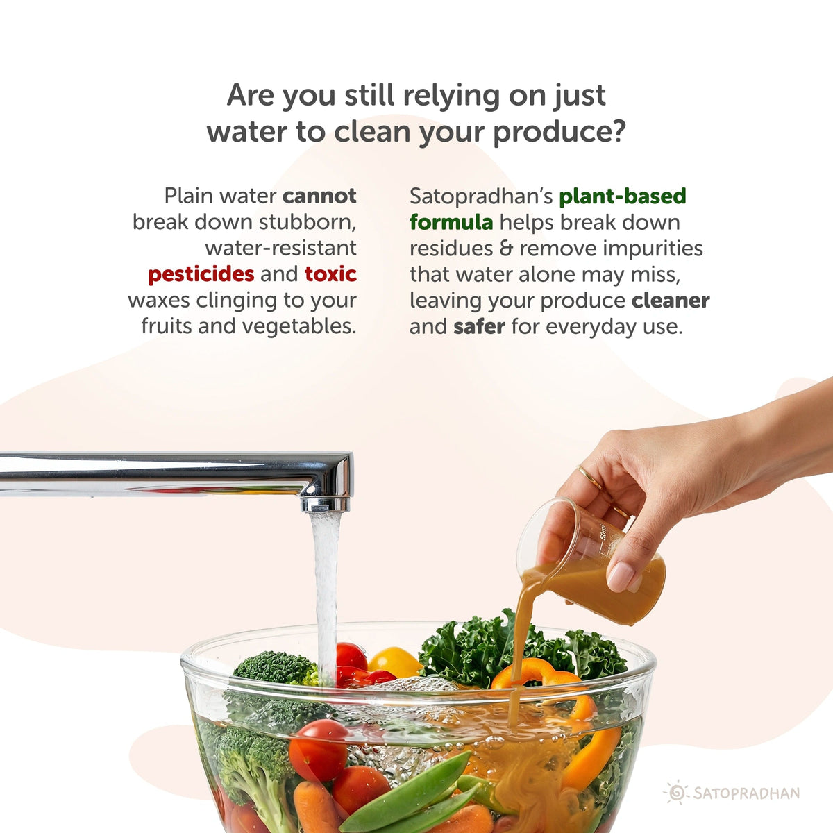 Natural Fruit & Vegetable Wash 750ml/1.9L - Bioenzyme-Based Produce Cleaner - Chemical-Free Vegetable Wash Liquid Cleaner - Satopradhan