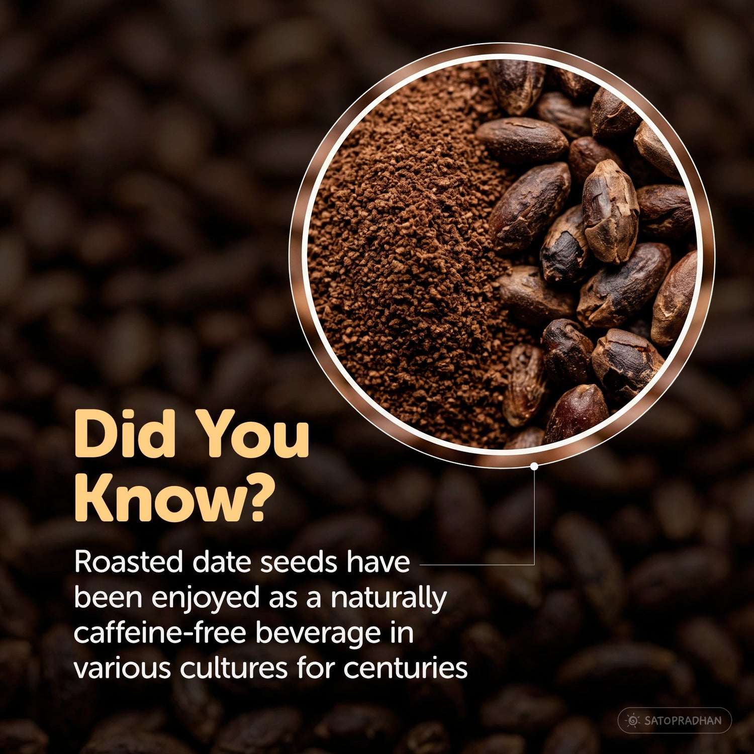 noCoffee Date Seed Powder 100g - Best Caffeine Free Coffee Alternative – Non Acidic Coffee for GERD & IBS – Organic, Gut Friendly, Plant-Based Coffee Substitute – Coarsely Ground - Satopradhan
