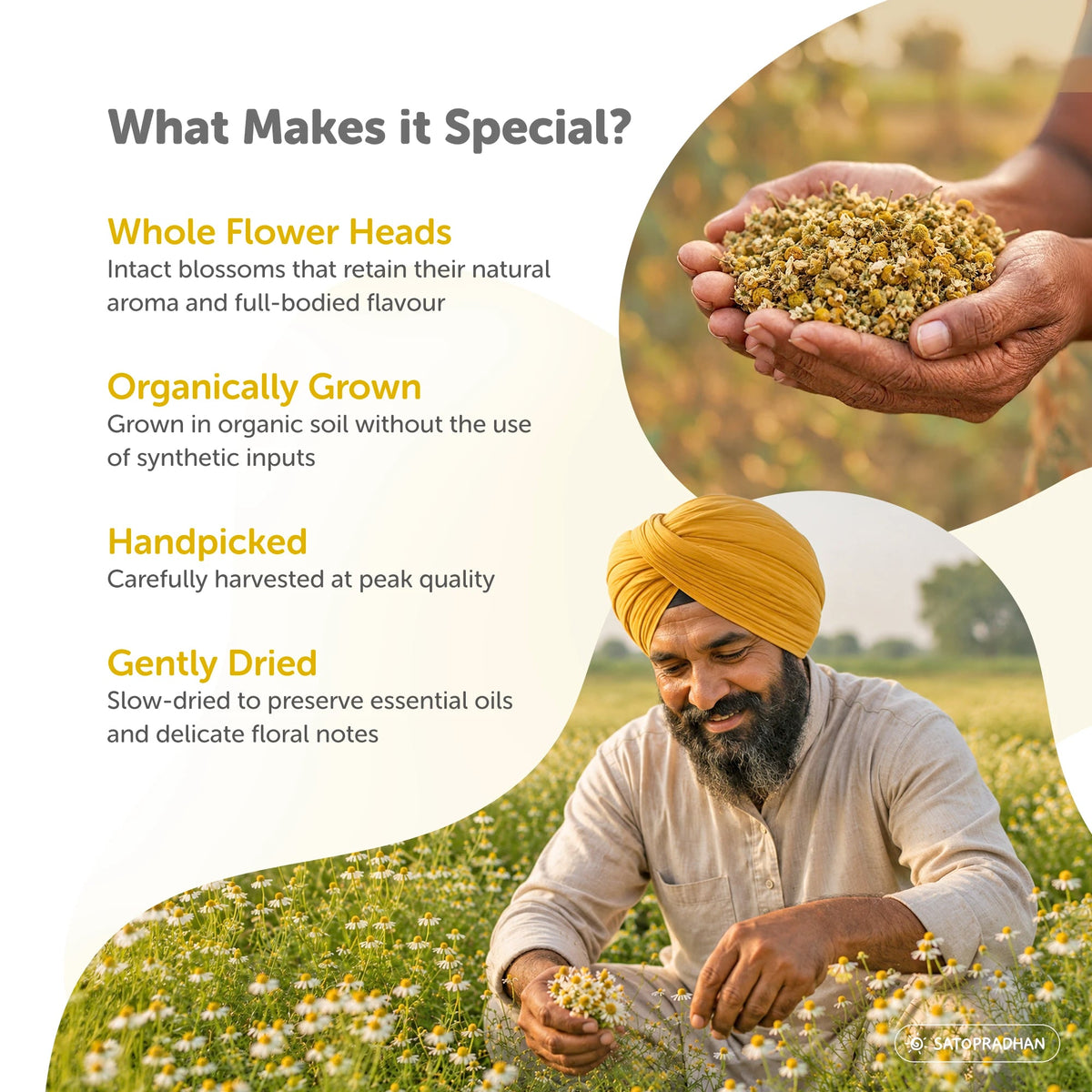 Organic Chamomile Herbal Infusion 25g – Dried Flowers for Deep Relaxation, Better Sleep & Period Cramps - Satopradhan