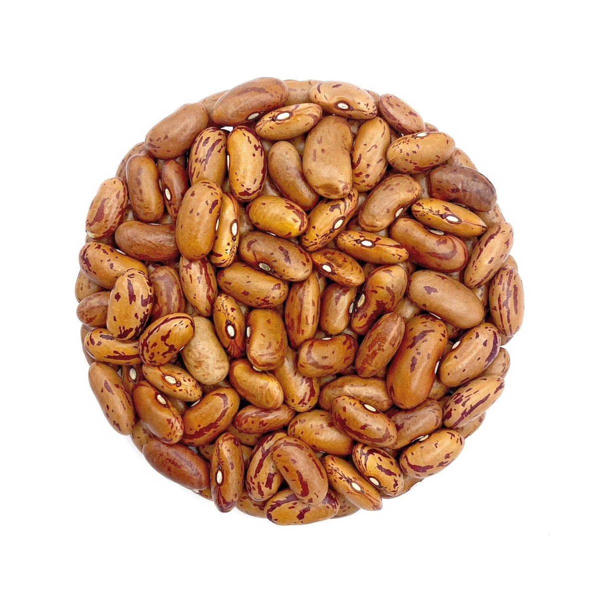 Organic Desi Rajma Chitra 800g – Unpolished Kidney Beans – Waghya Rajma - Satopradhan