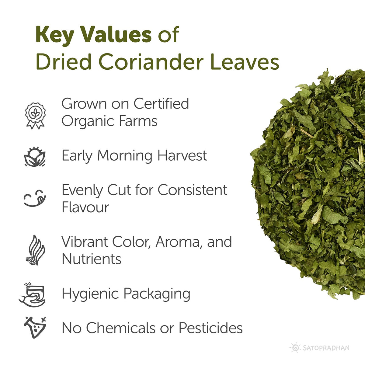 Organic Dried Coriander Leaves 50g – Sukha Dhania – Dried Cilantro Leaves – Dehydrated Coriander Flakes – Organic Dry Dhania Leaves for Cooking & Garnishing - Satopradhan