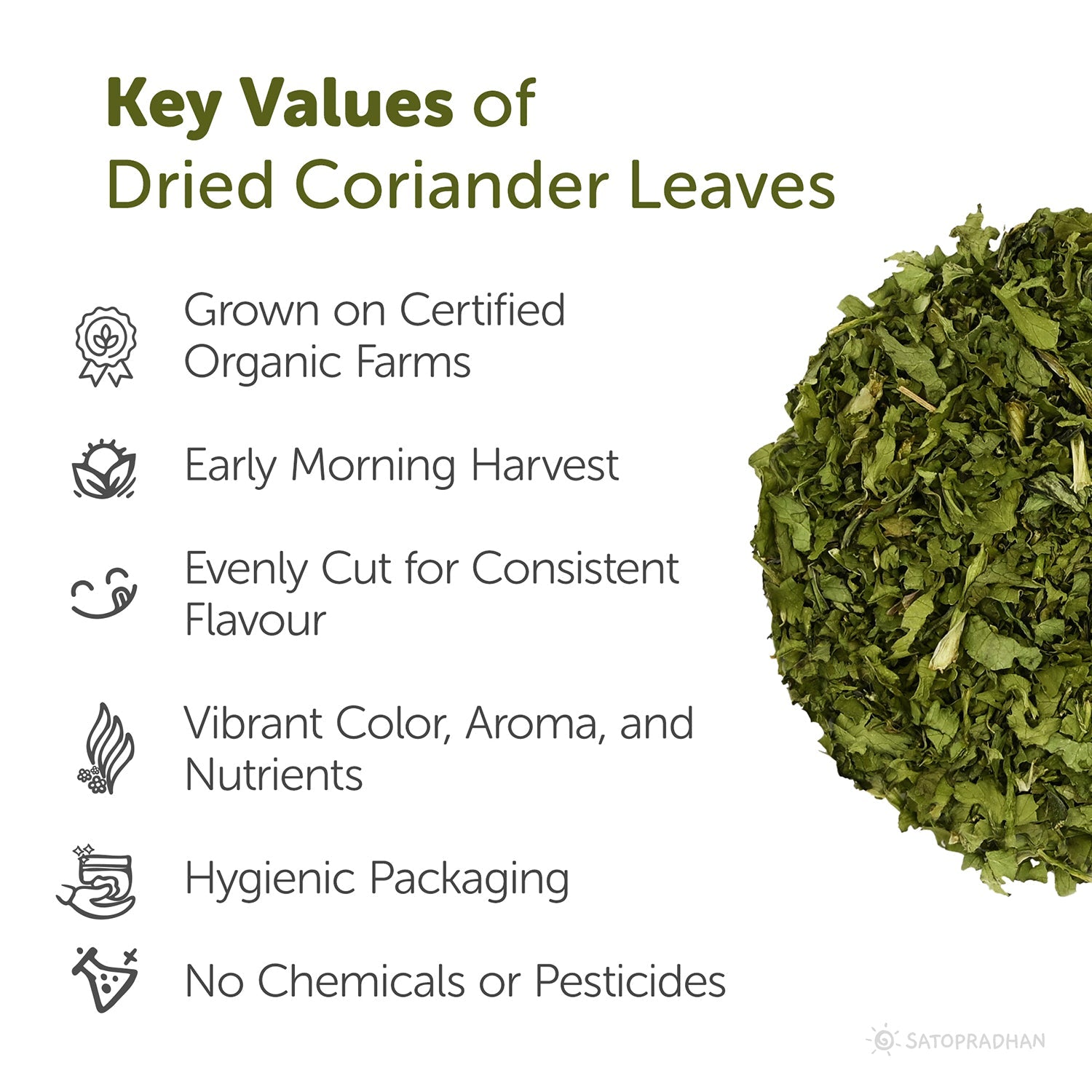 Organic Dried Coriander Leaves 50g – Sukha Dhania – Dried Cilantro Leaves – Dehydrated Coriander Flakes – Organic Dry Dhania Leaves for Cooking & Garnishing - Satopradhan