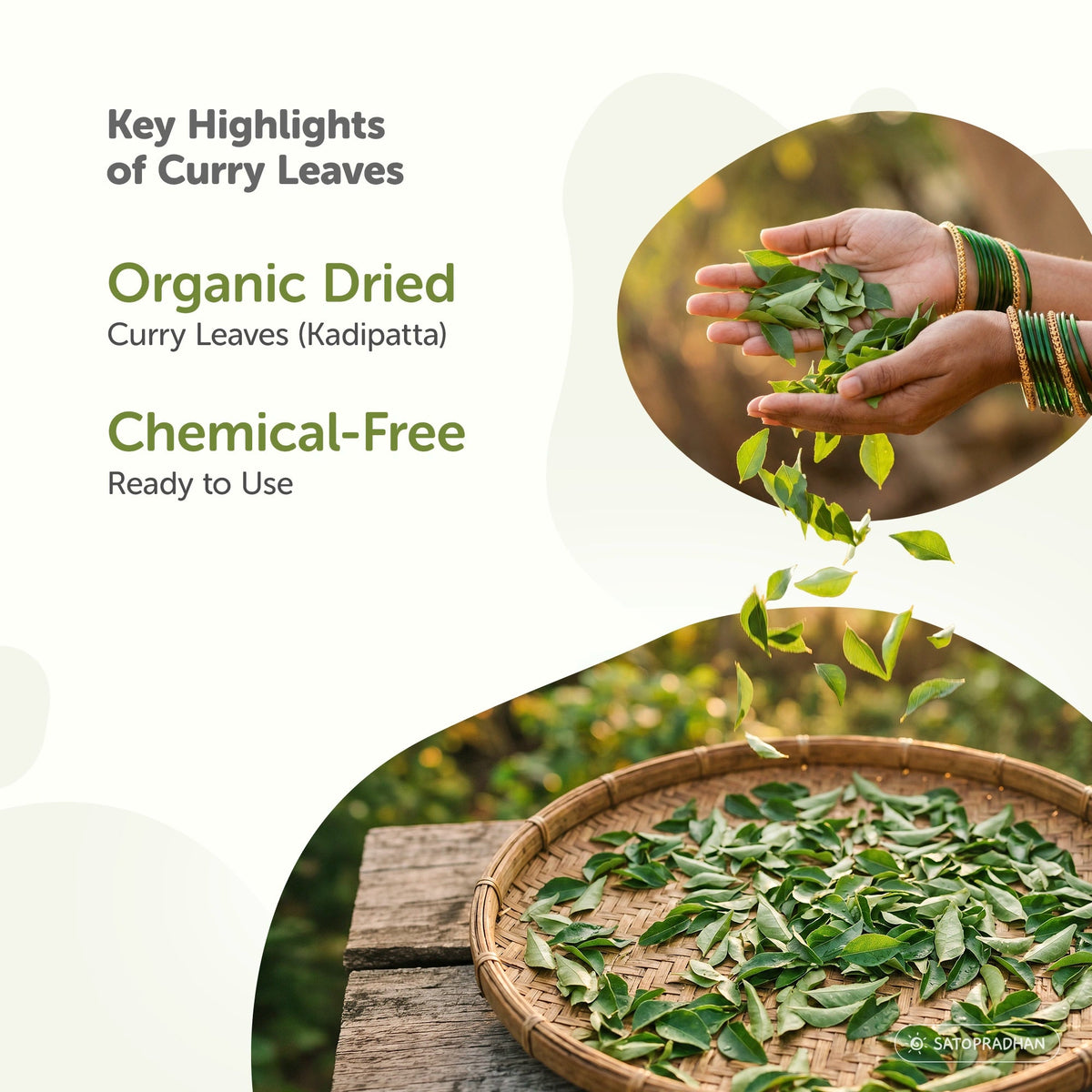 Organic Dried Curry Leaves 70g – Chemical-Free & Ready to Use Kadipatta - Karuveppilai - Satopradhan