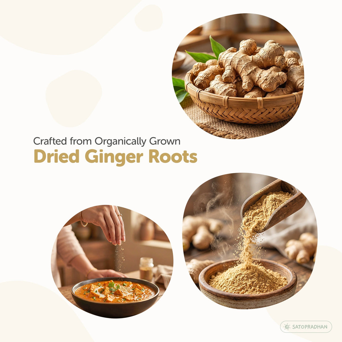 Organic Ginger Powder 100g - Pure, Chemical-Free & Dehydrated Saunth - Adrak Powder - Satopradhan