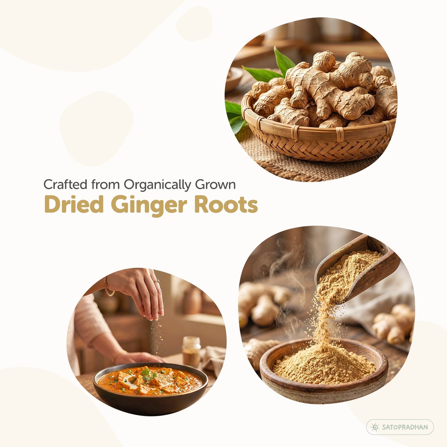 Organic Ginger Powder 100g - Pure, Chemical-Free & Dehydrated Saunth - Adrak Powder - Satopradhan