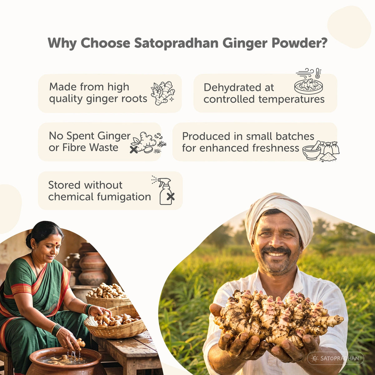Organic Ginger Powder 100g - Pure, Chemical-Free & Dehydrated Saunth - Adrak Powder - Satopradhan