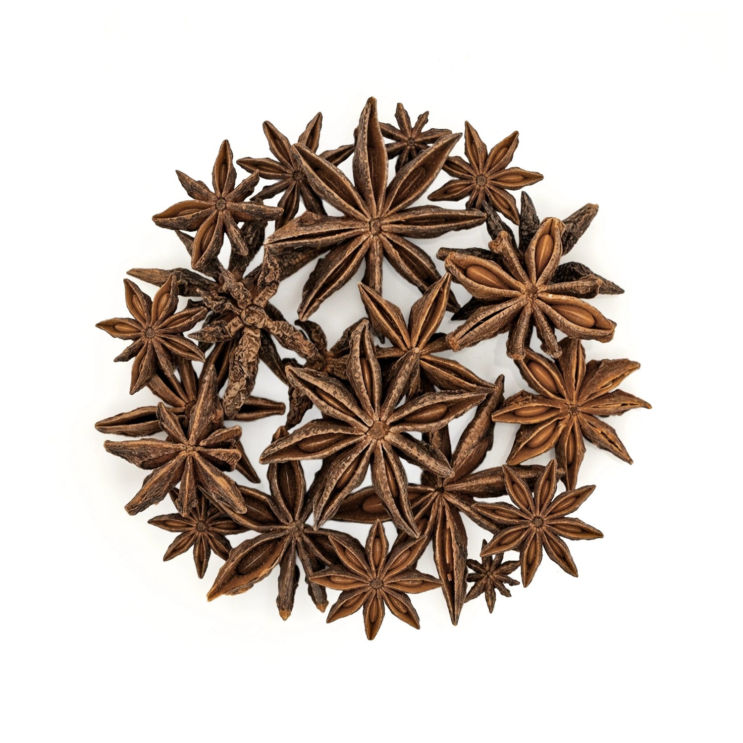 Organic Star Anise 80g - Chakra Phool - Premium Whole Chakri Phool - Khada Masala for Cooking - Satopradhan