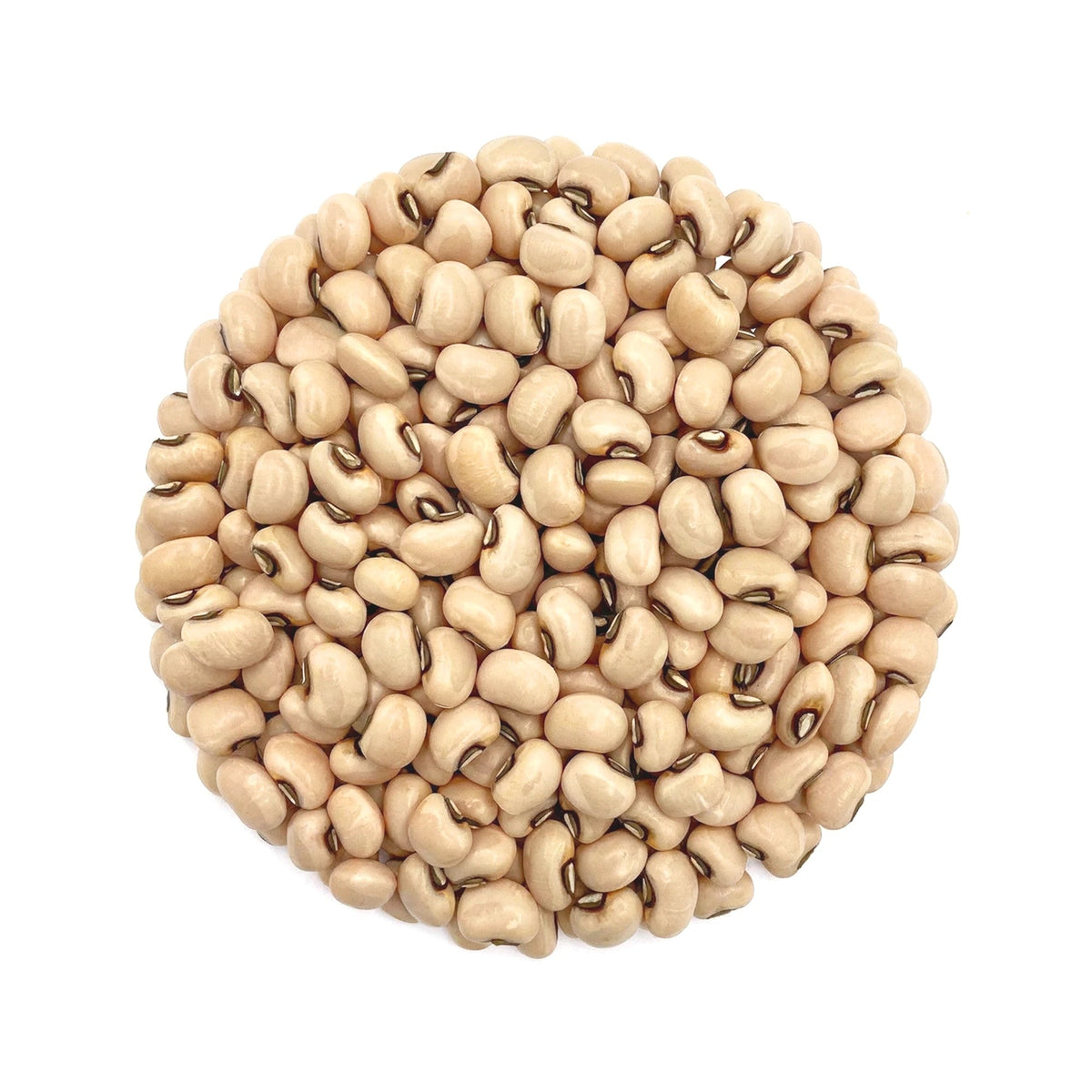 Organic White Lobia 800g – Unpolished Safed Lobia Whole - Cowpea/Chawli - Satopradhan