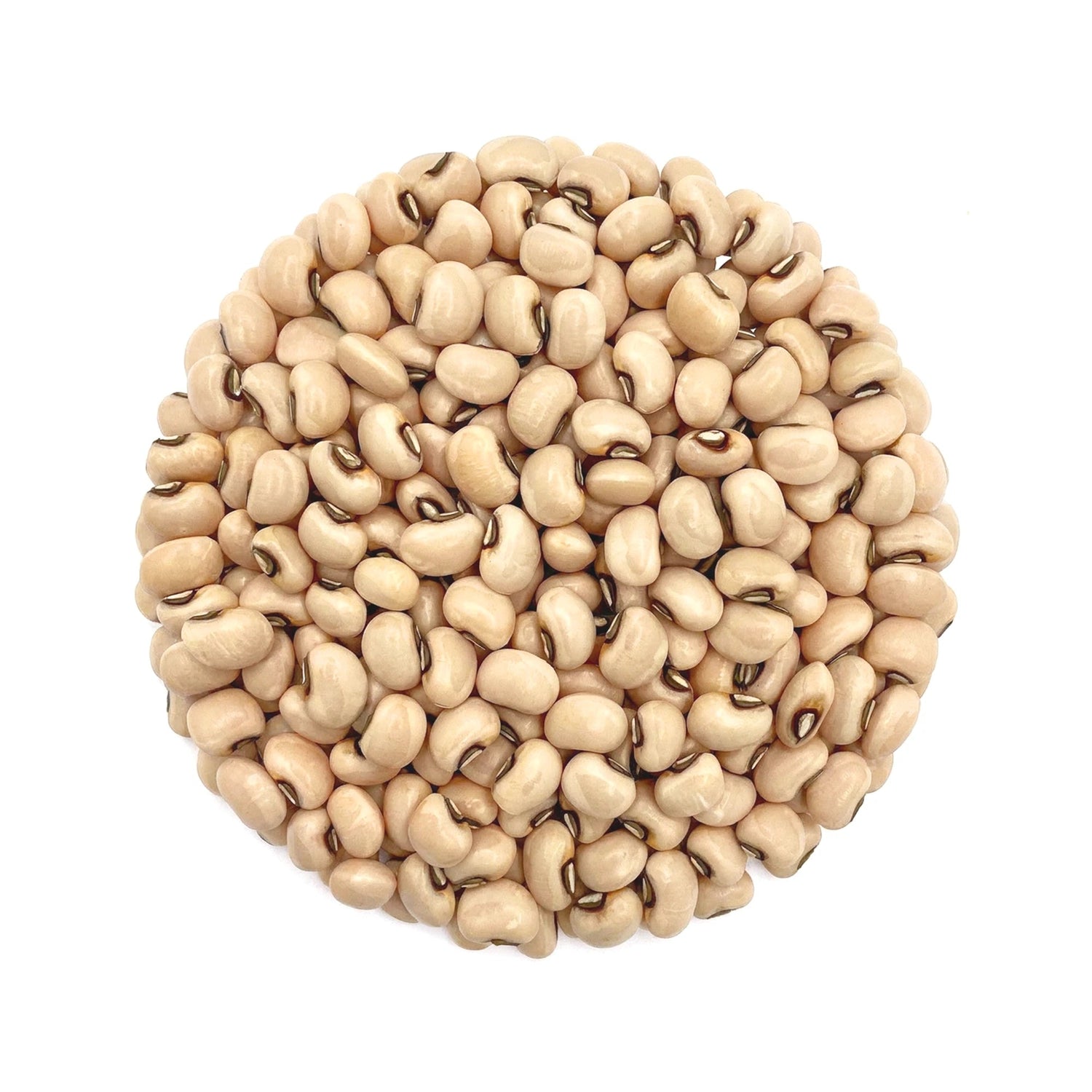 Organic White Lobia 800g – Unpolished Safed Lobia Whole - Cowpea/Chawli - Satopradhan