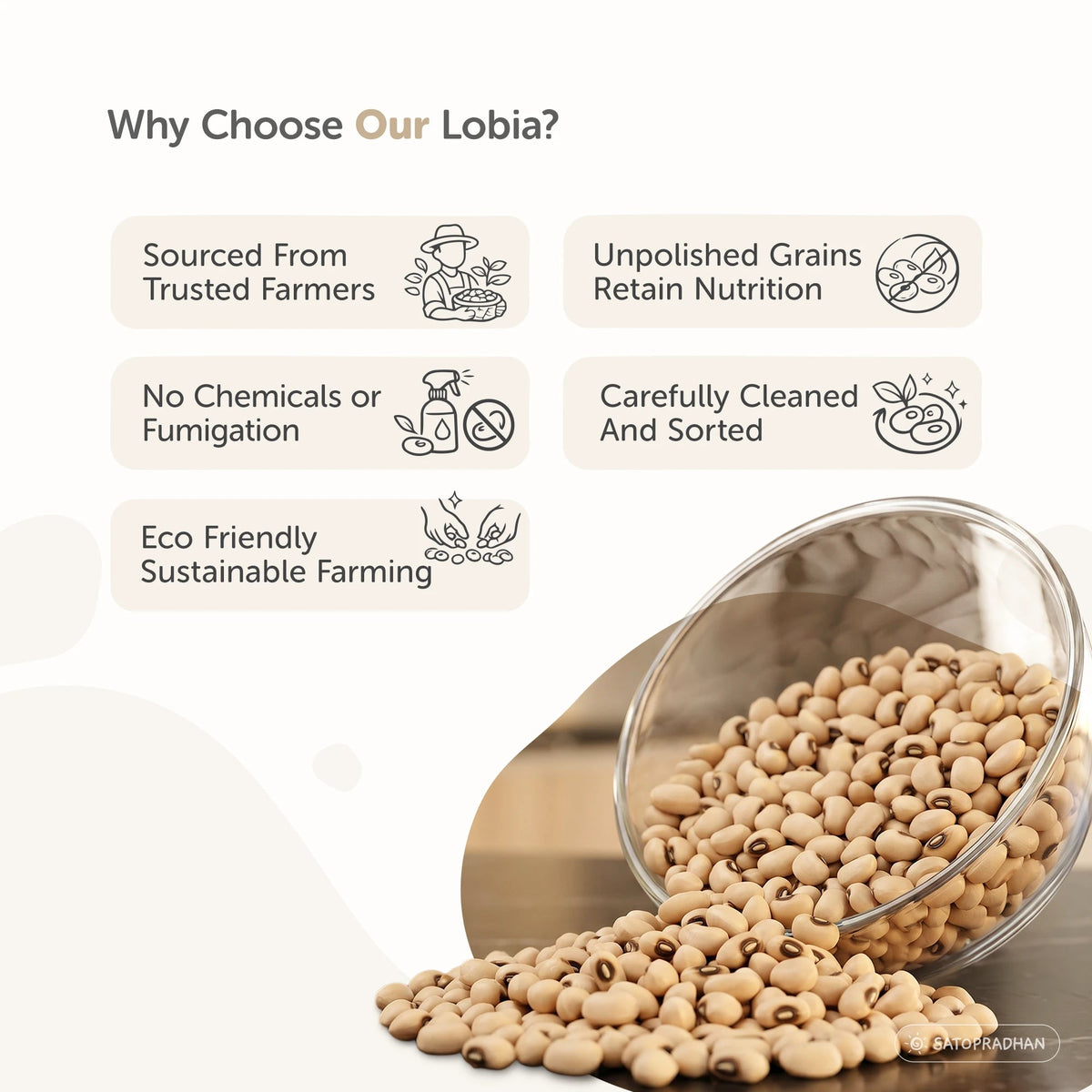 Organic White Lobia 800g – Unpolished Safed Lobia Whole - Cowpea/Chawli - Satopradhan