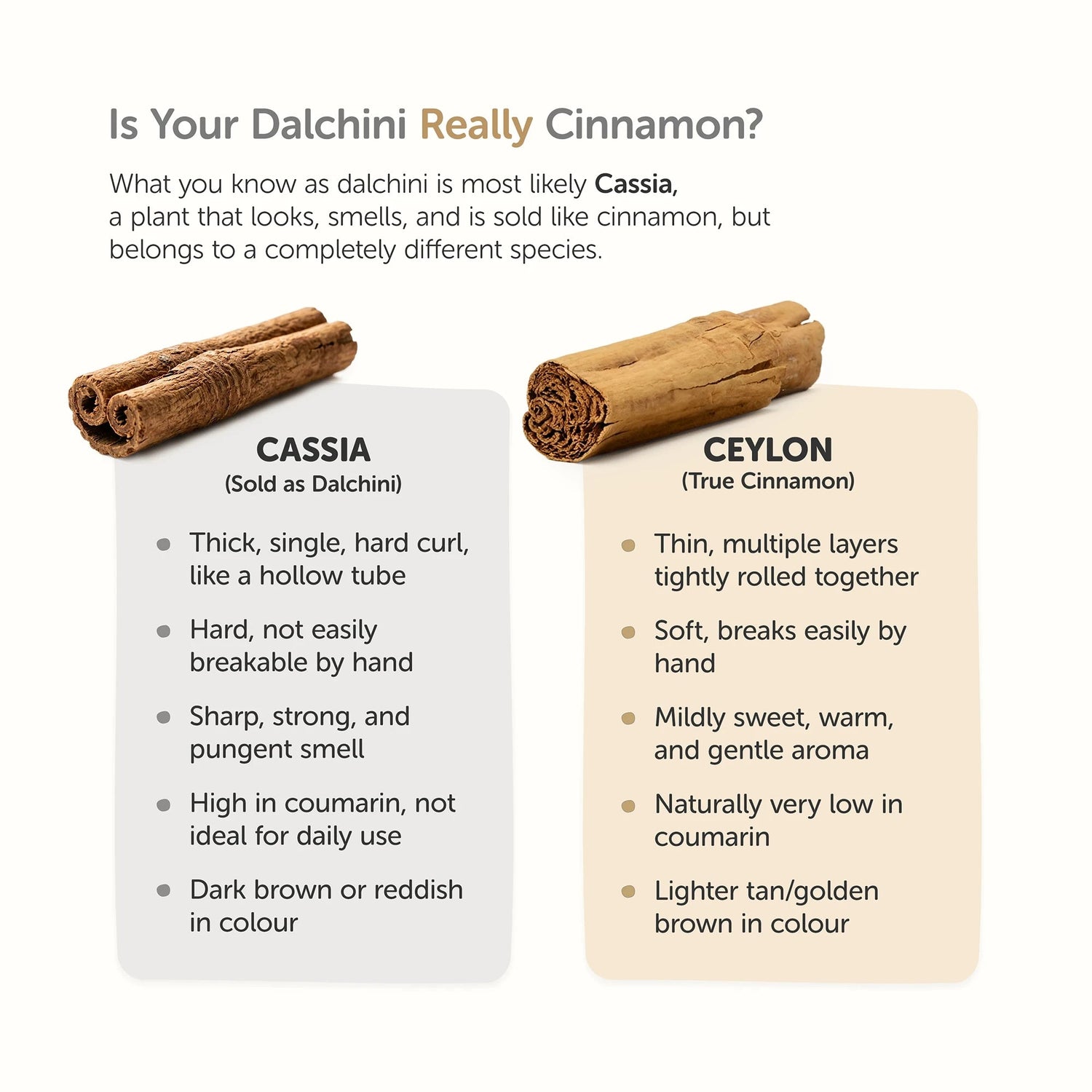Pure Ceylon Cinnamon Sticks (C5) 100g – Low Coumarin - True Sri Lankan Whole Dalchini Quills - Unpolished Cinnamon Whole Bark - Satopradhan