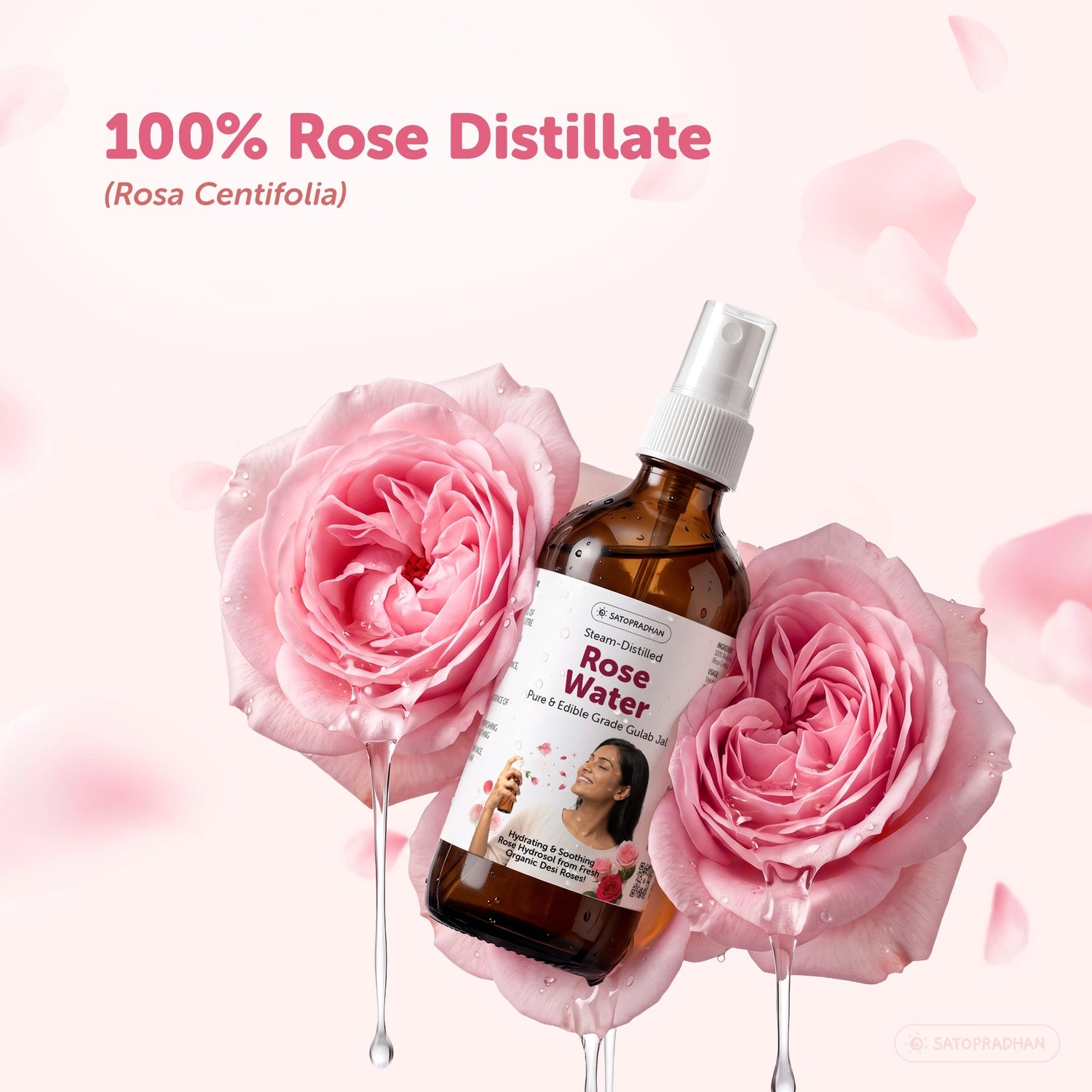 Pure Steam Distilled Rose Water 200 ml - Gulab Jal - Organic Rose Hydrosol - Face Toner & Facial Mist - Satopradhan