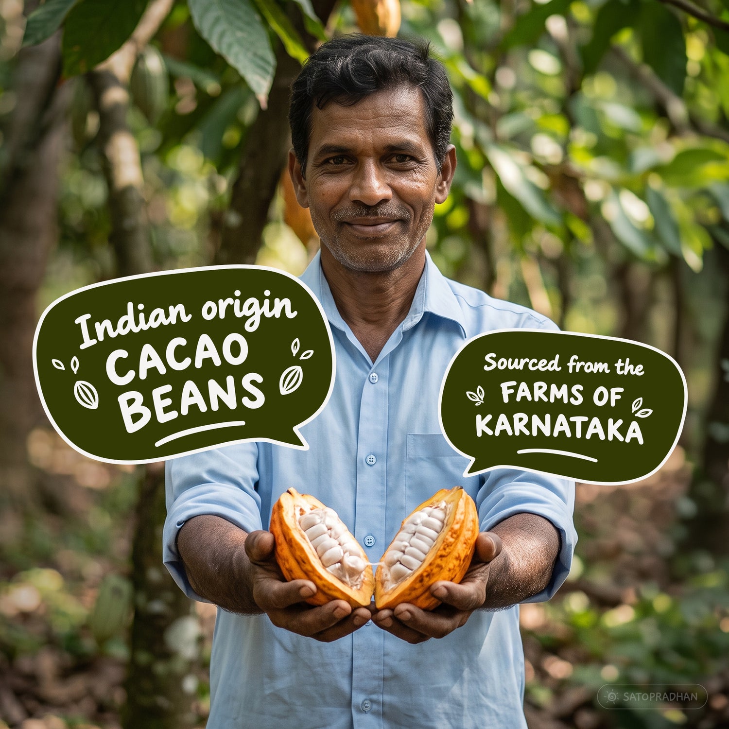Satopradhan Indian-origin cacao beans sourced from farms in Karnataka, South India, for non-alkalised cacao powder.