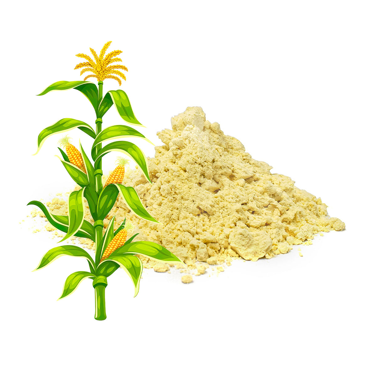 Makki Atta Dheri - 100% Natural, Organic & Fresh Maize Flour 800g - Traditional, Wholesome & Gluten-Free