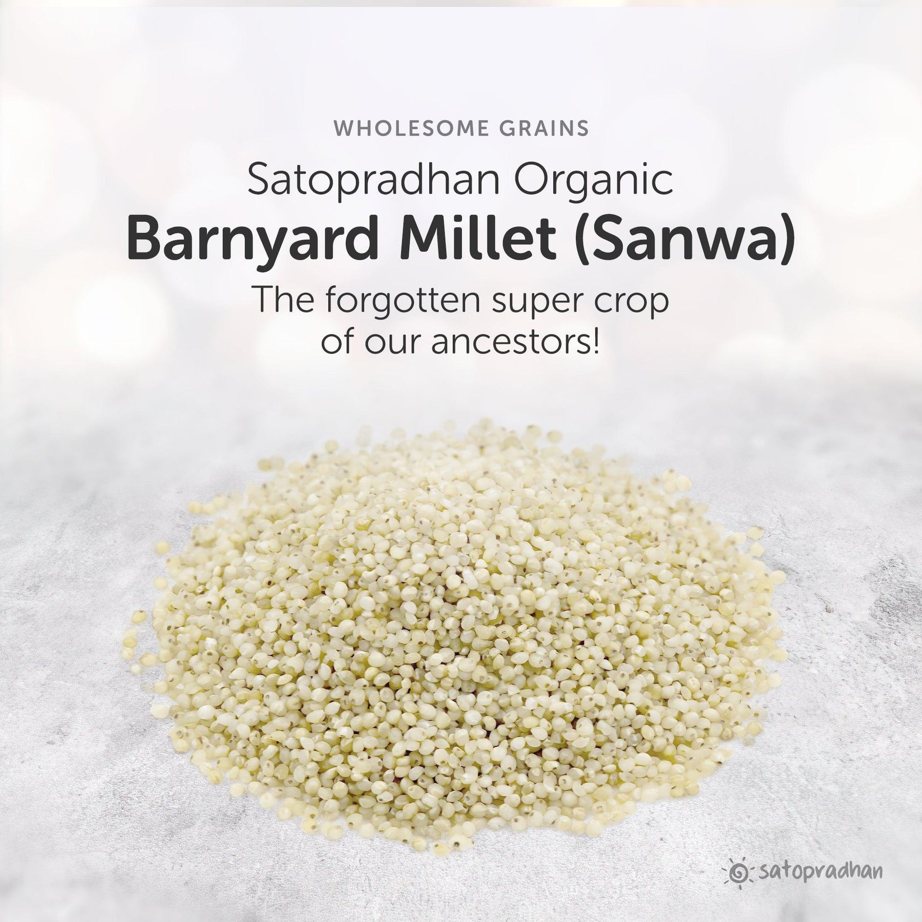 Barnyard Millet - Sanwa 800g - Natural, Organic & Unpolished - Gluten free and Wholesome Grain | Samak Rice | Fasting Food - Satopradhan