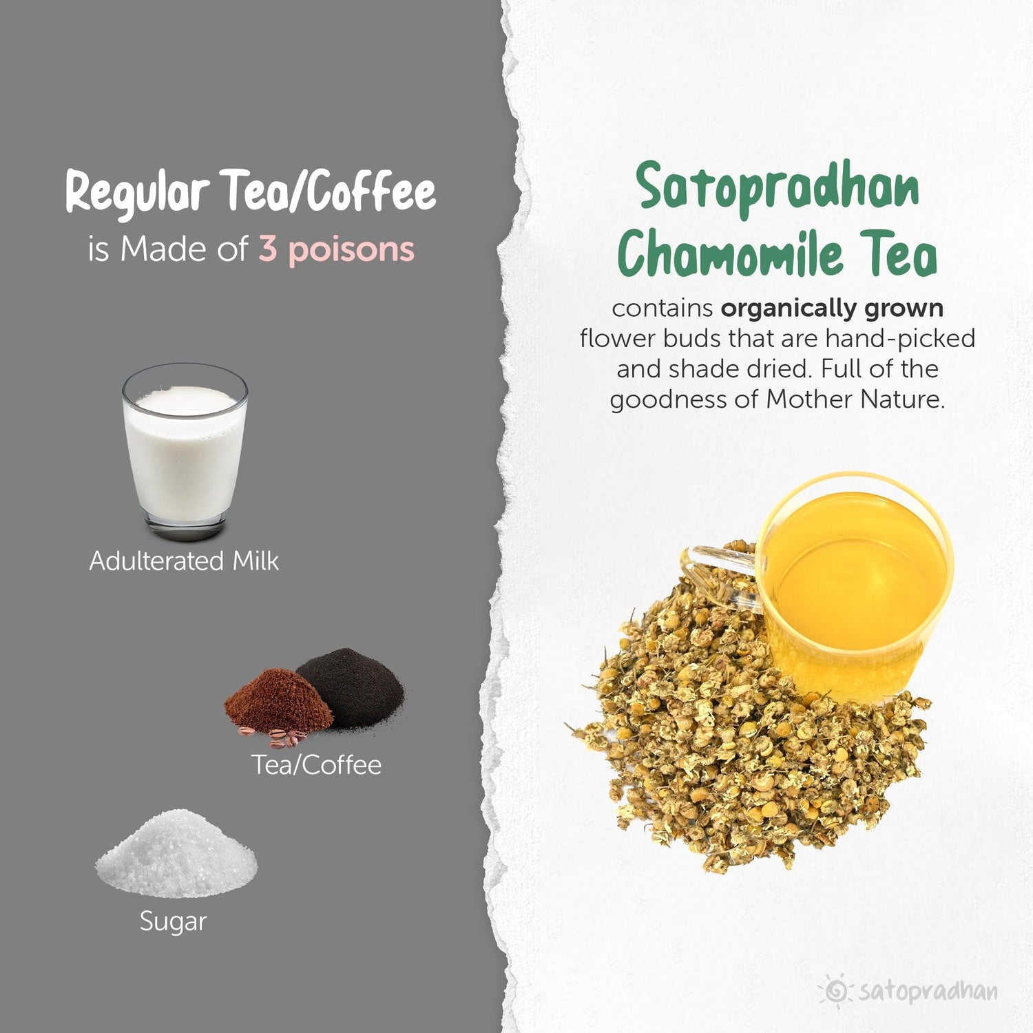 Regular tea vs. Satopradhan chamomile tea: Regular tea often contains caffeine, artificial additives, and may lack health benefits, while Satopradhan chamomile tea is caffeine-free, organically grown, free from preservatives and artificial flavors, and promotes relaxation and better sleep