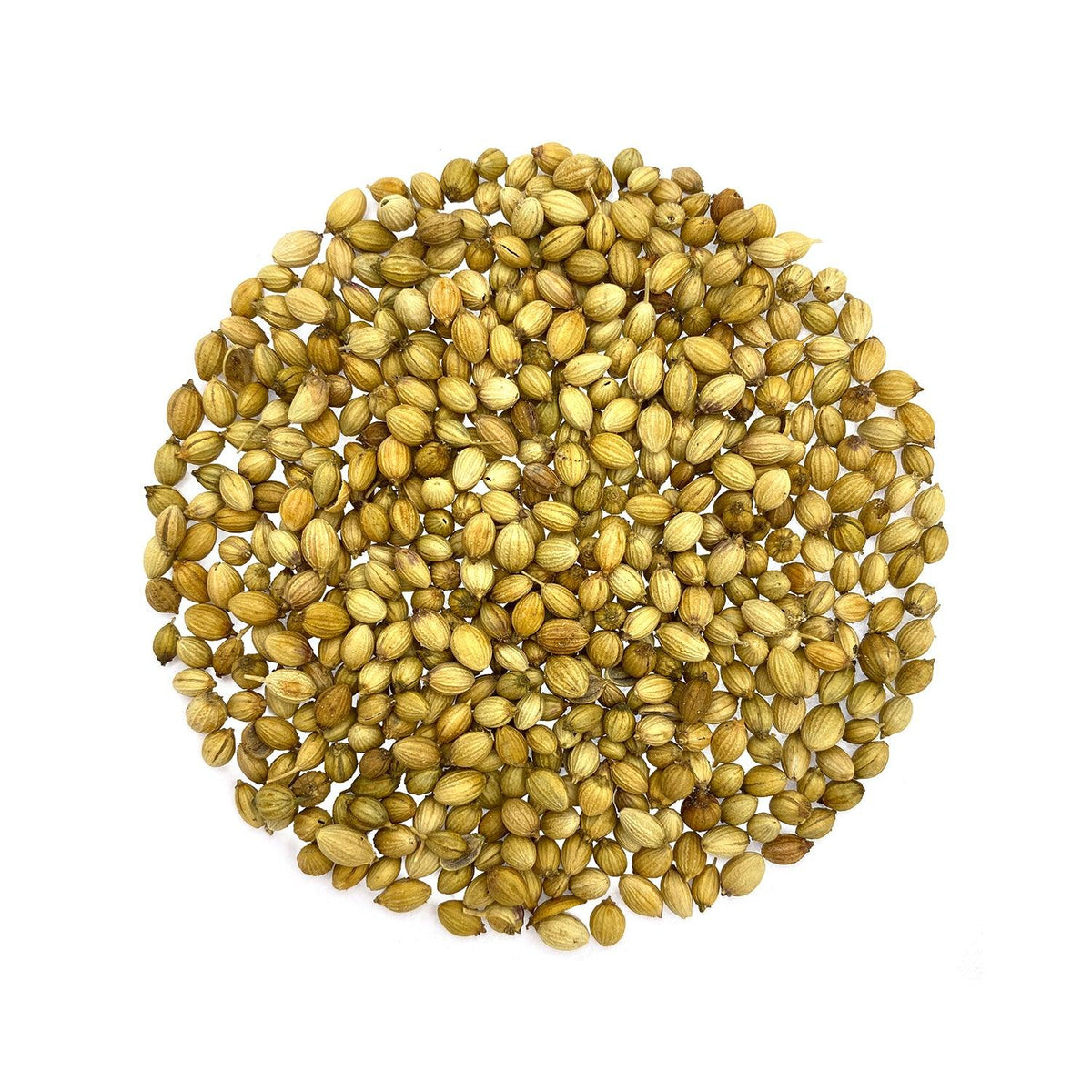 Dhania Sabut - Coriander Seeds 100g - Natural & Purely Organic Without Adulteration - Satopradhan