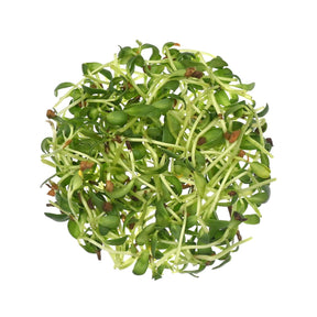Fenugreek Seeds for Growing Sprouts & Microgreens 200g - Organic Methi Dana for Kitchen Garden - Satopradhan