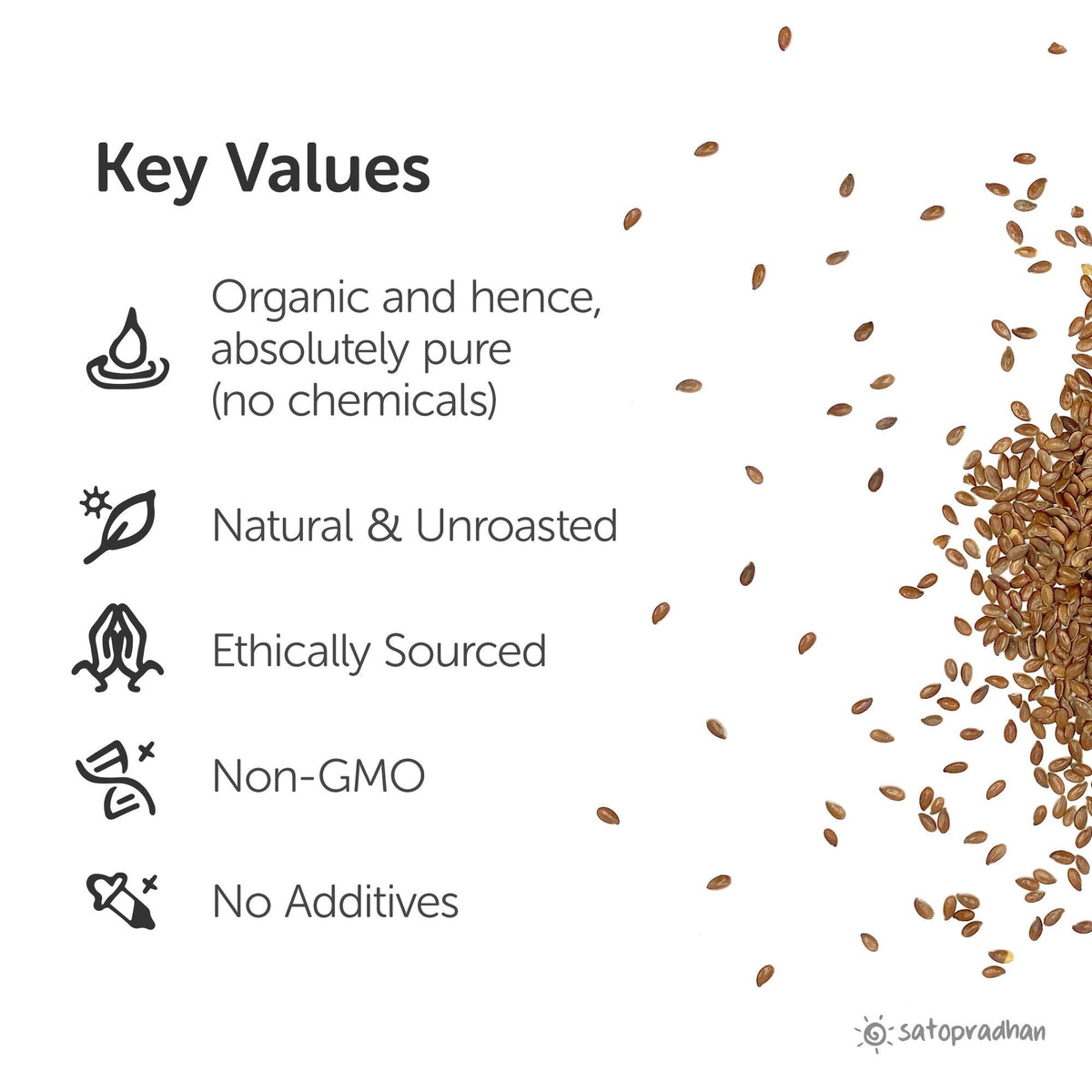 Flax Seeds - Finest Quality Raw seeds- Choose from 200g or 800g without Additives - Pure & Natural - Satopradhan