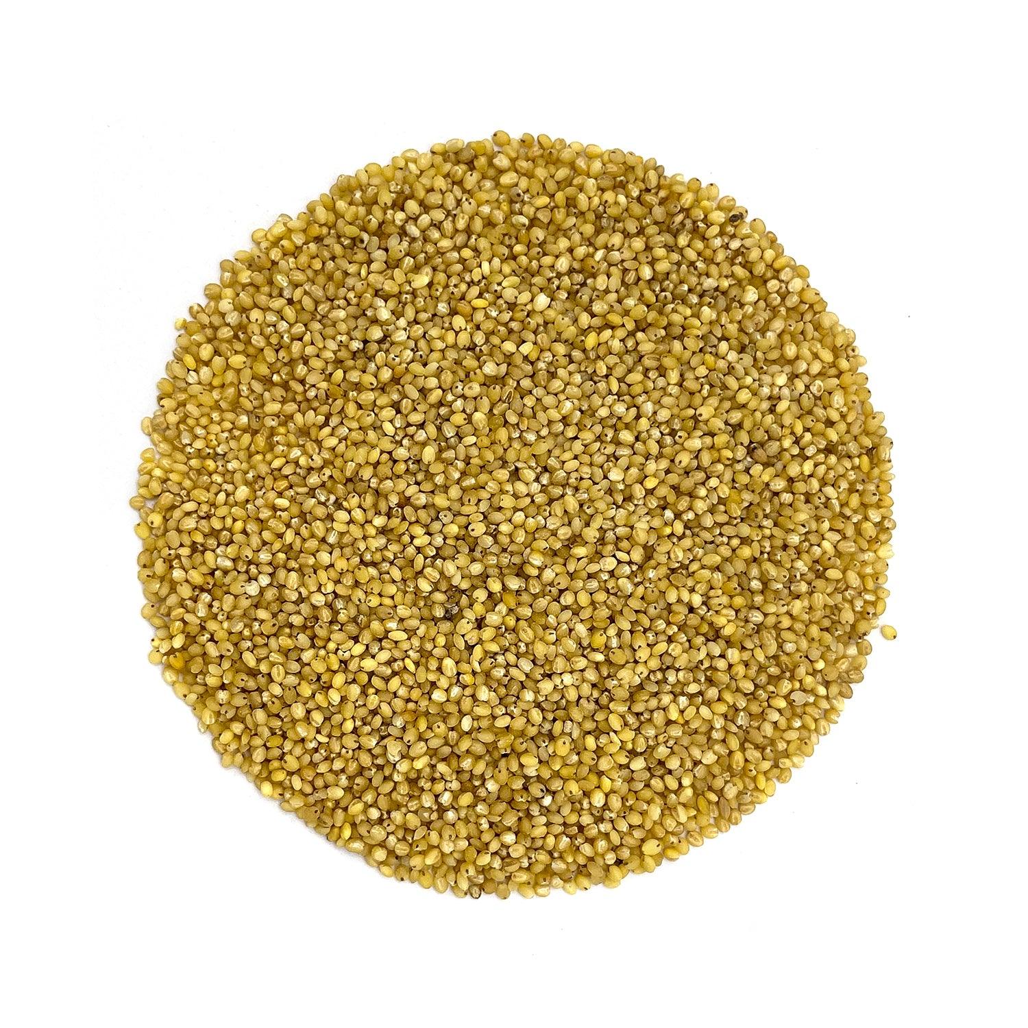 Foxtail Millet - Kangni/Kakum 800g - Natural, Organic & Unpolished-Gluten free and Wholesome Grain without Preservatives - Satopradhan