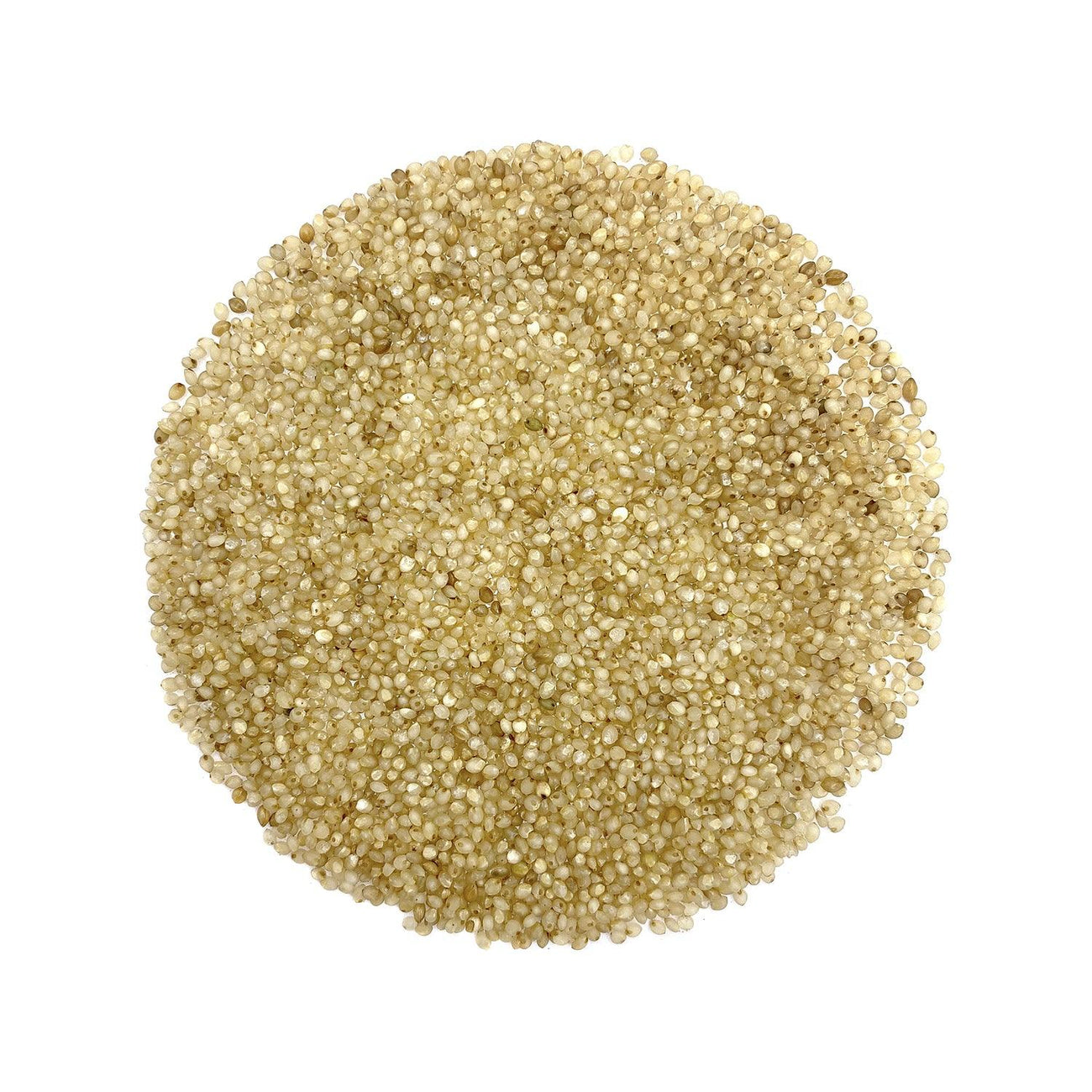 Satopradhan Best Organic Little Millet or Kutki | Buy Online