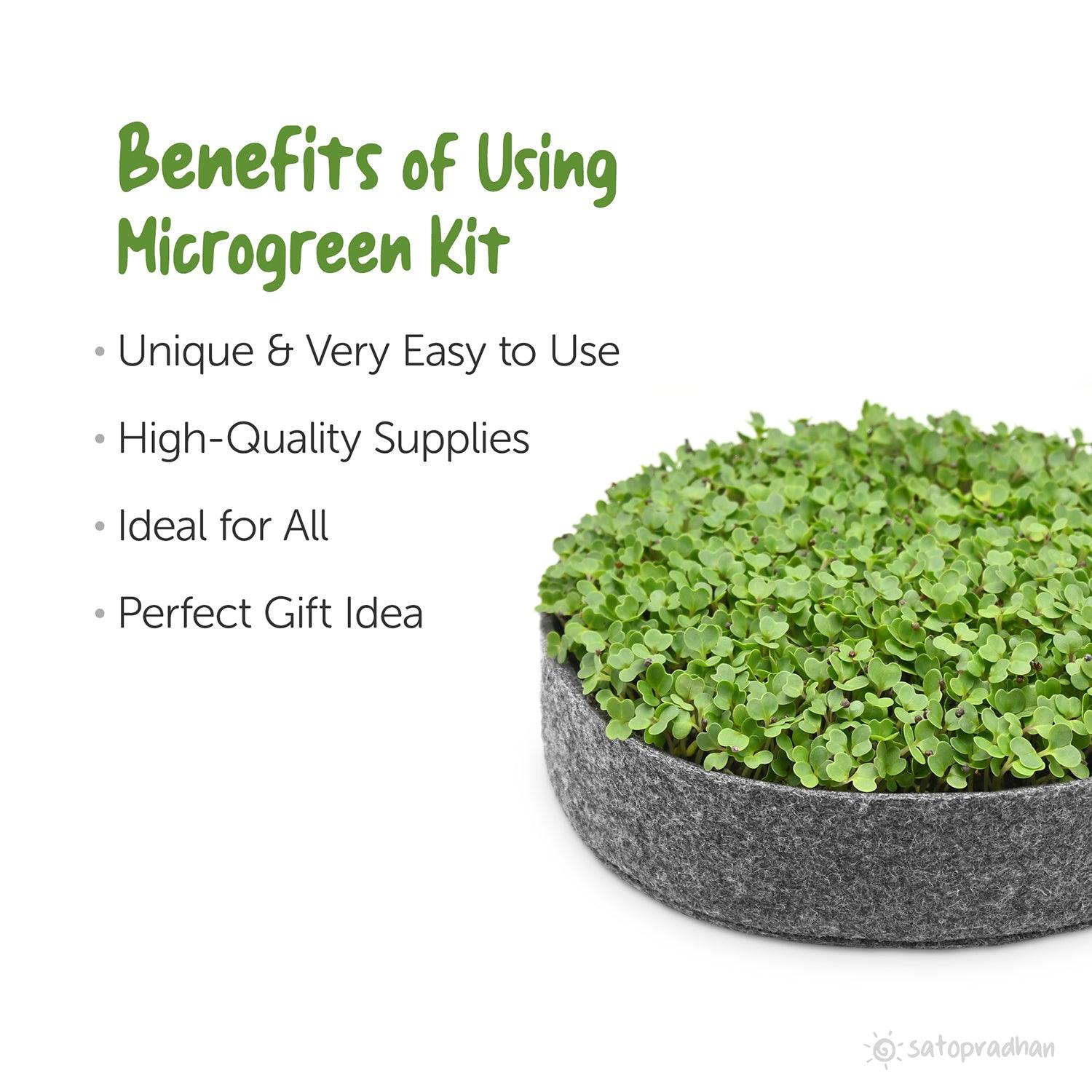 Microgreen Growing Kit - Sustainable & Ready to Use DIY Microgreen Seeds Grow Gift Kit - Grow Your Own Microgreen Kit - Satopradhan