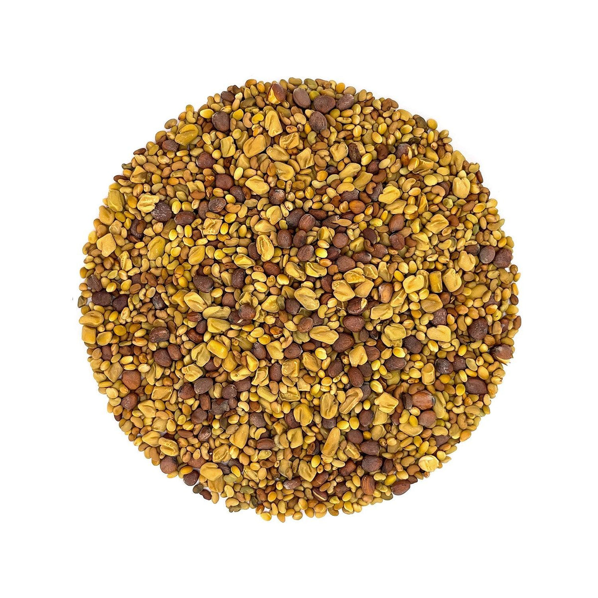 Mix Seeds for Sprouting 200g - A Unique & Delicious Blend of Alfalfa, Clover, Fenugreek & Radish seeds | Organic Sprouting Mix - Satopradhan