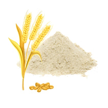 satopradhan organic chemical free natural gluten free wheat flour sharbati